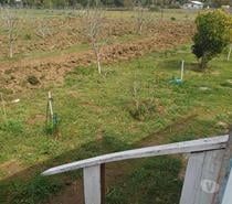 Se vende parcela de 5000mts2
