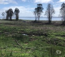 Se rematan 4 parcelas en Chiloé