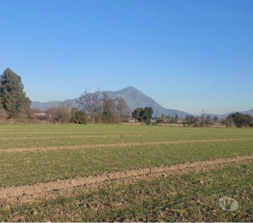 Parcelas en Venta Maipo Paine - Fotos de Paine, Nuevo Horizonte, Parcela plana 5 hectáreas.