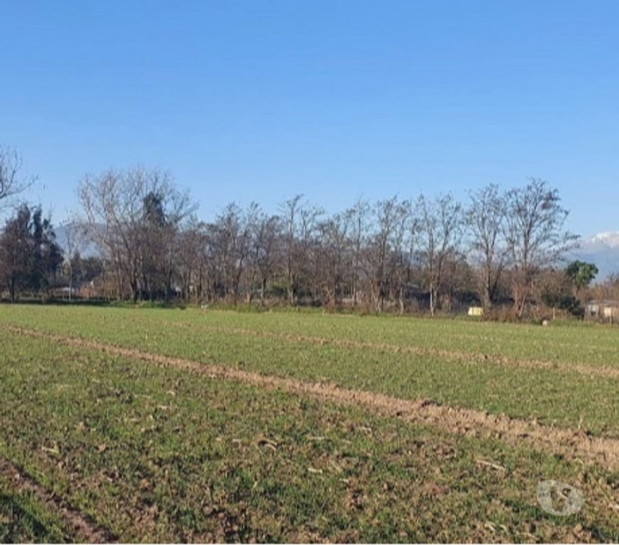 Parcelas en Venta Maipo Paine - Fotos de Paine, Nuevo Horizonte, Parcela plana 5 hectáreas.