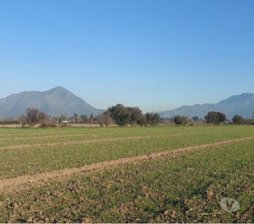 Parcelas en Venta Maipo Paine - Fotos de Paine, Nuevo Horizonte, Parcela plana 5 hectáreas.