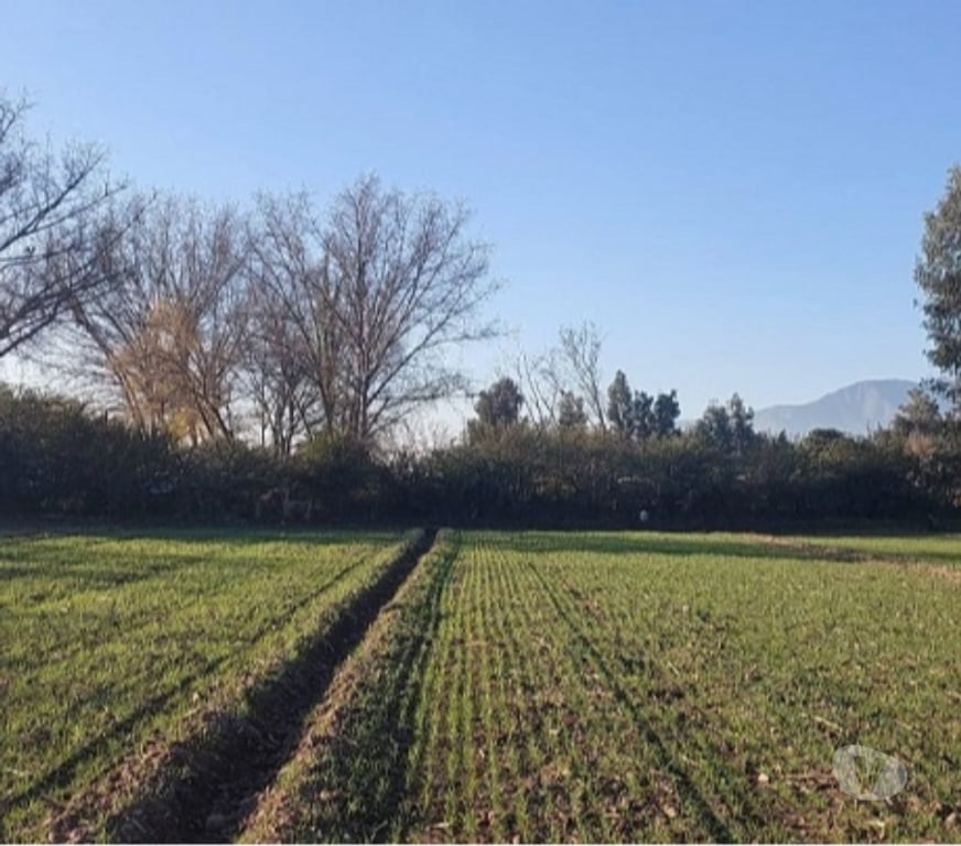 Parcelas en Venta Maipo Paine - Fotos de Paine, Nuevo Horizonte, Parcela plana 5 hectáreas.