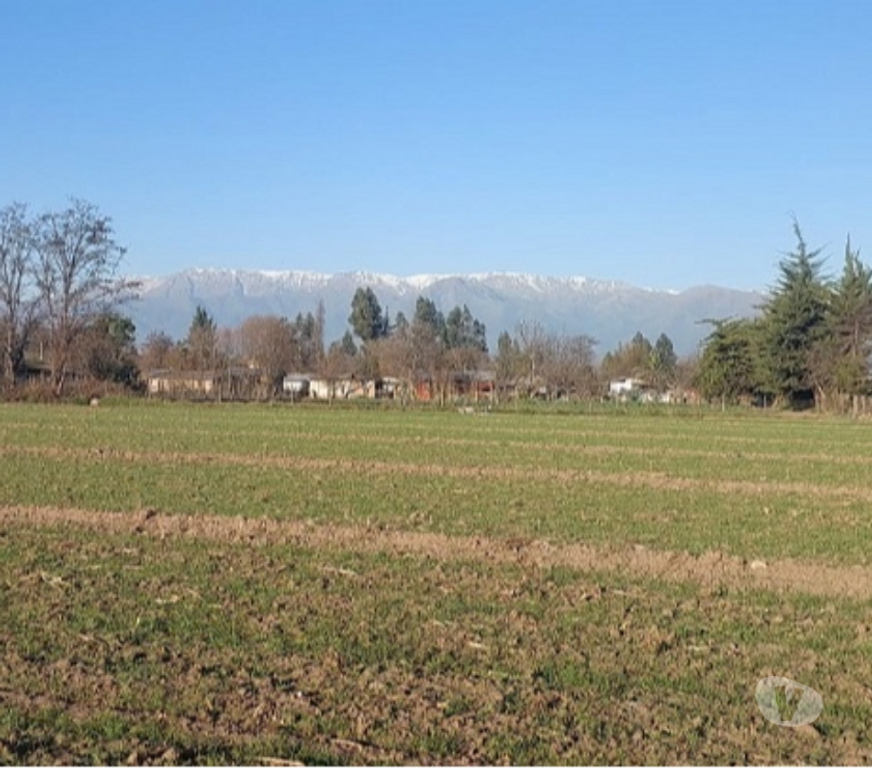 Parcelas en Venta Maipo Paine - Fotos de Paine, Nuevo Horizonte, Parcela plana 5 hectáreas.