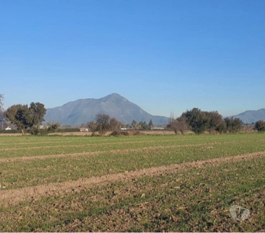 Parcelas en Venta Maipo Paine - Fotos de Paine, Nuevo Horizonte, Parcela plana 5 hectáreas.
