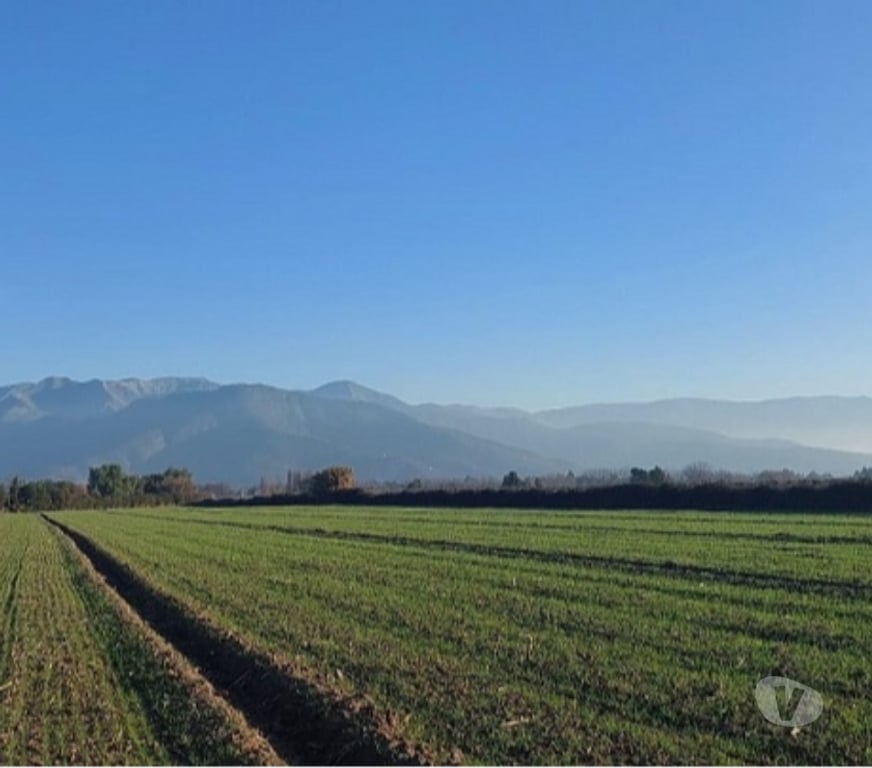Parcelas en Venta Maipo Paine - Fotos de Paine, Nuevo Horizonte, Parcela plana 5 hectáreas.