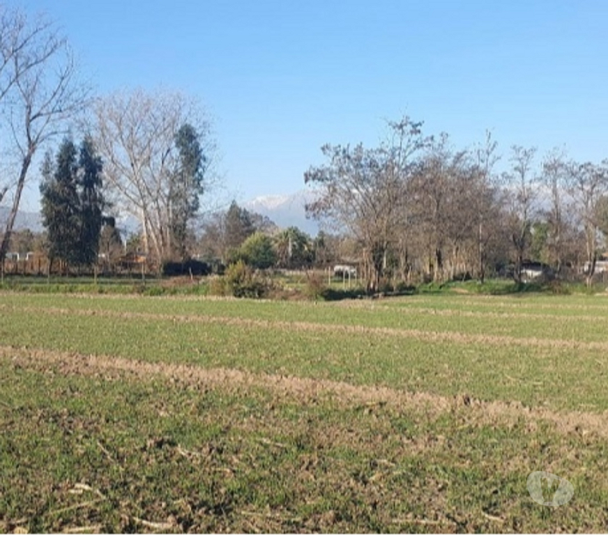 Parcelas en Venta Maipo Paine - Fotos de Paine, Nuevo Horizonte, Parcela plana 5 hectáreas.