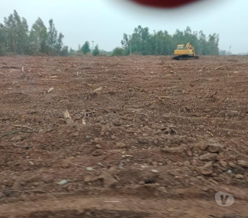 Venta de Haciendas Linares Parral - Fotos de Extraordinario Campo de 242 hás con agua para Frutales