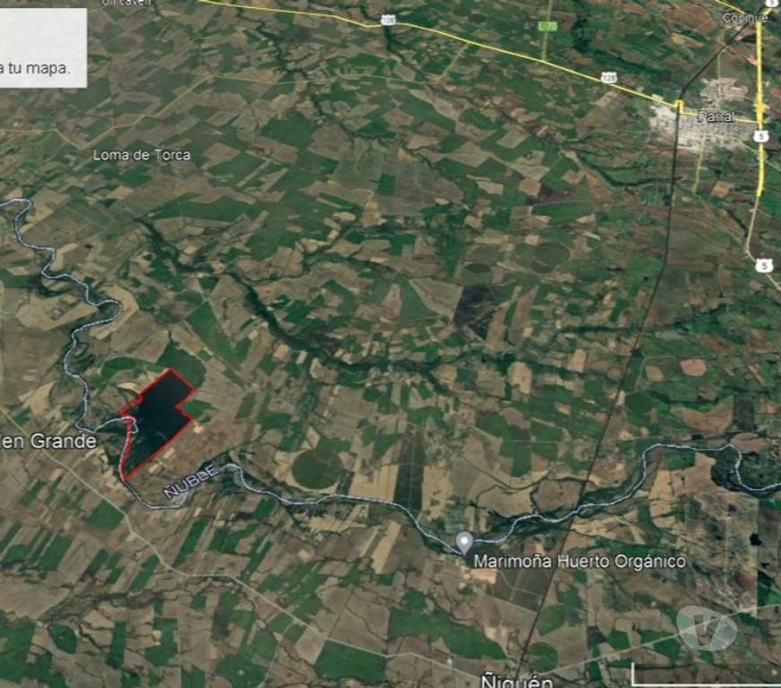 Venta de Haciendas Linares Parral - Fotos de Extraordinario Campo de 242 hás con agua para Frutales