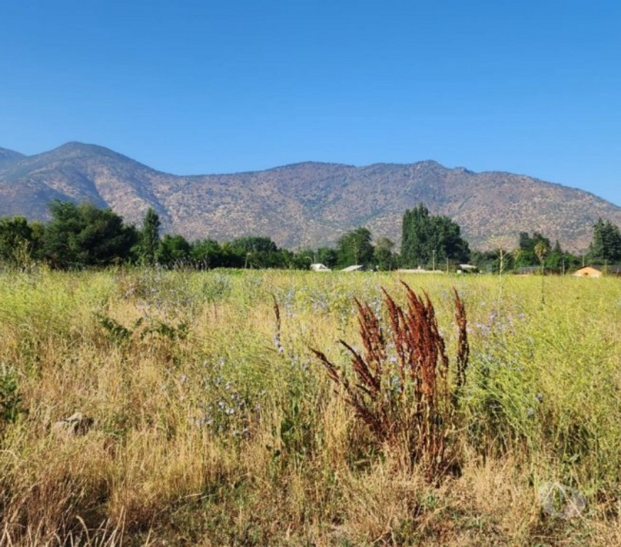 Parcelas en Venta Cachapoal Requíno - Fotos de Parcela en Requinoa Sector Pinpinela