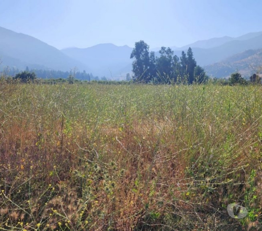 Parcelas en Venta Cachapoal Requíno - Fotos de Parcela en Requinoa Sector Pinpinela
