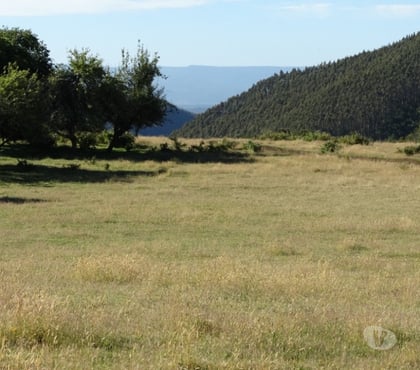 Parcelas en venta Fresia Llanquihue - Fotos de VENTA DE TERRENO EN FRESIA.