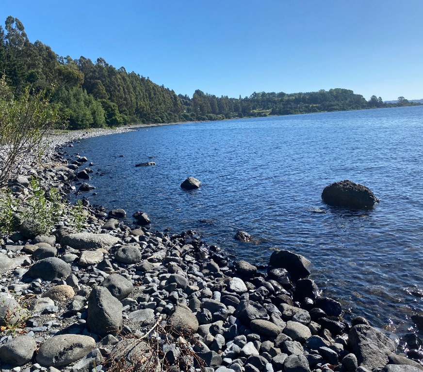 Venta de Haciendas Ranco Lago Ranco - Fotos de campo con orilla de lago