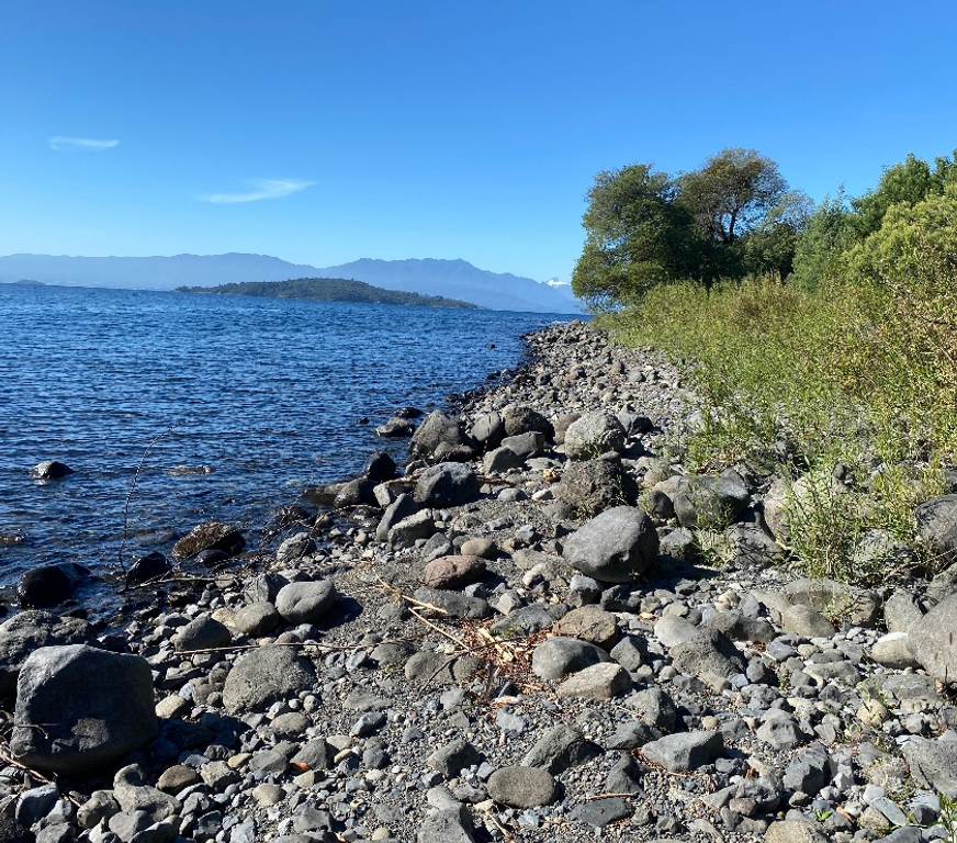 Venta de Haciendas Ranco Lago Ranco - Fotos de campo con orilla de lago