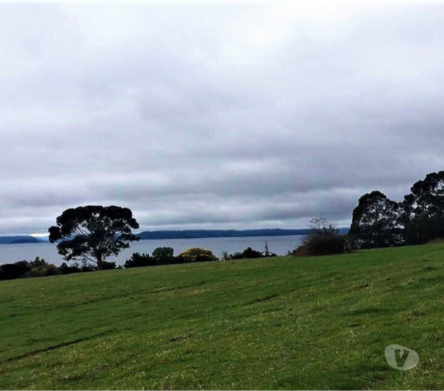 Venta de Haciendas Ranco Lago Ranco - Fotos de campo con orilla de lago