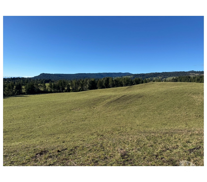 Venta de Haciendas Osorno Puerto Octay - Fotos de Vendió predio fundo en lago Rupanco