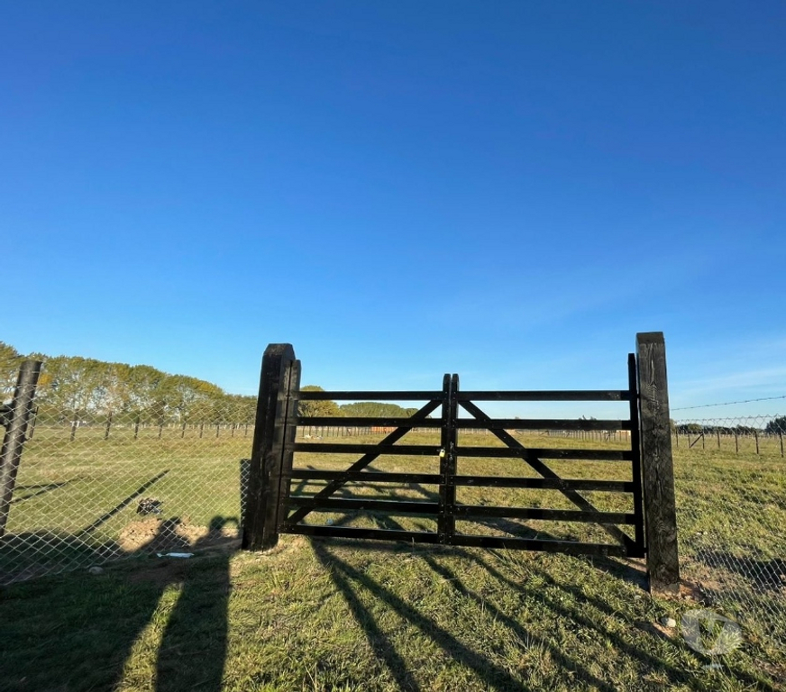 Parcelas en Venta Cautín Freire - Fotos de Vendo Parcela de Agrado en Araucanía Sur