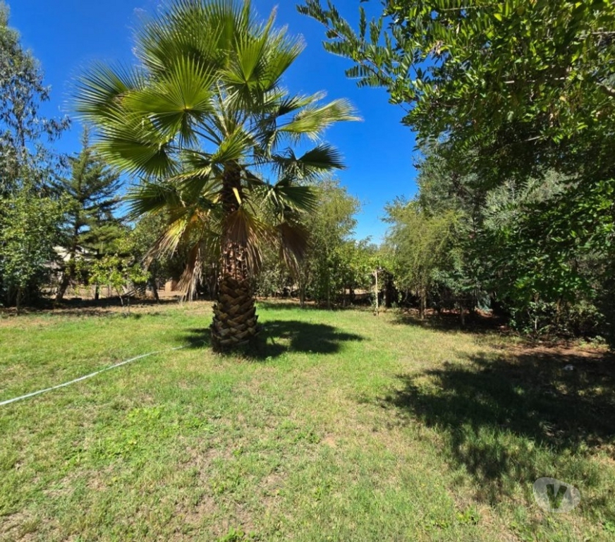 Bienes Raices Cachapoal Coltauco - Fotos de Casa en Coltacuo