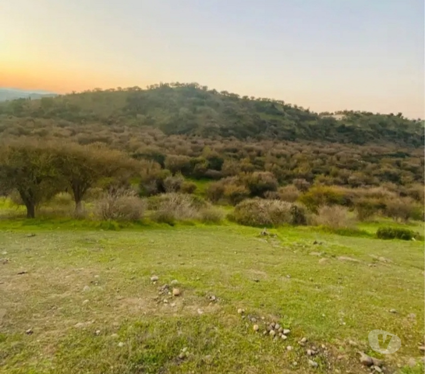 Parcelas en Venta Melipilla Melipilla - Fotos de Vendo terreno 4 hectáreas