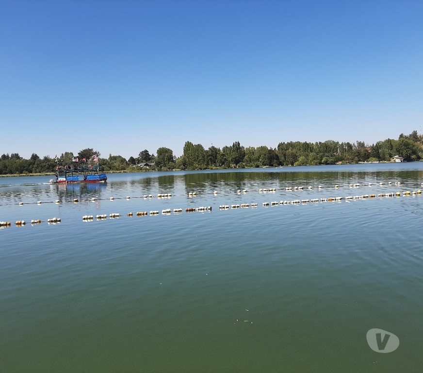 Bienes Raices Ñuble Quillón - Fotos de Quillón vendo cabaña con acceso a la laguna.$63.000.000