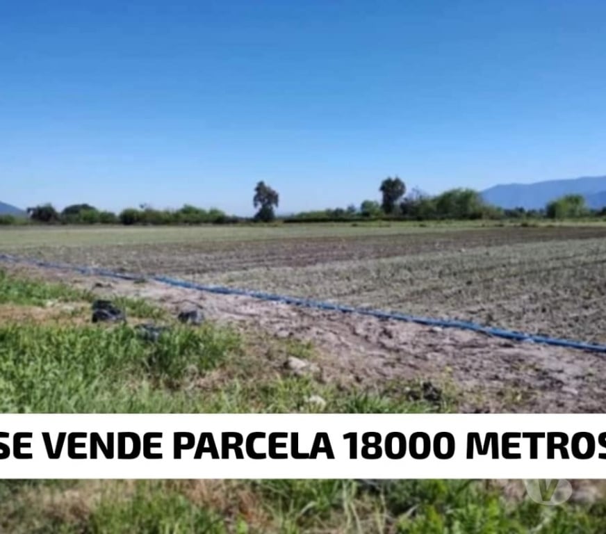 Parcelas en Venta Talagante Isla de Maipo - Fotos de Parcela agricola 1.8 hectareas