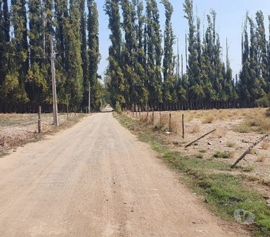 Parcelas en Venta Maipo Paine - Fotos de Aculeo-Paine, Lote 26