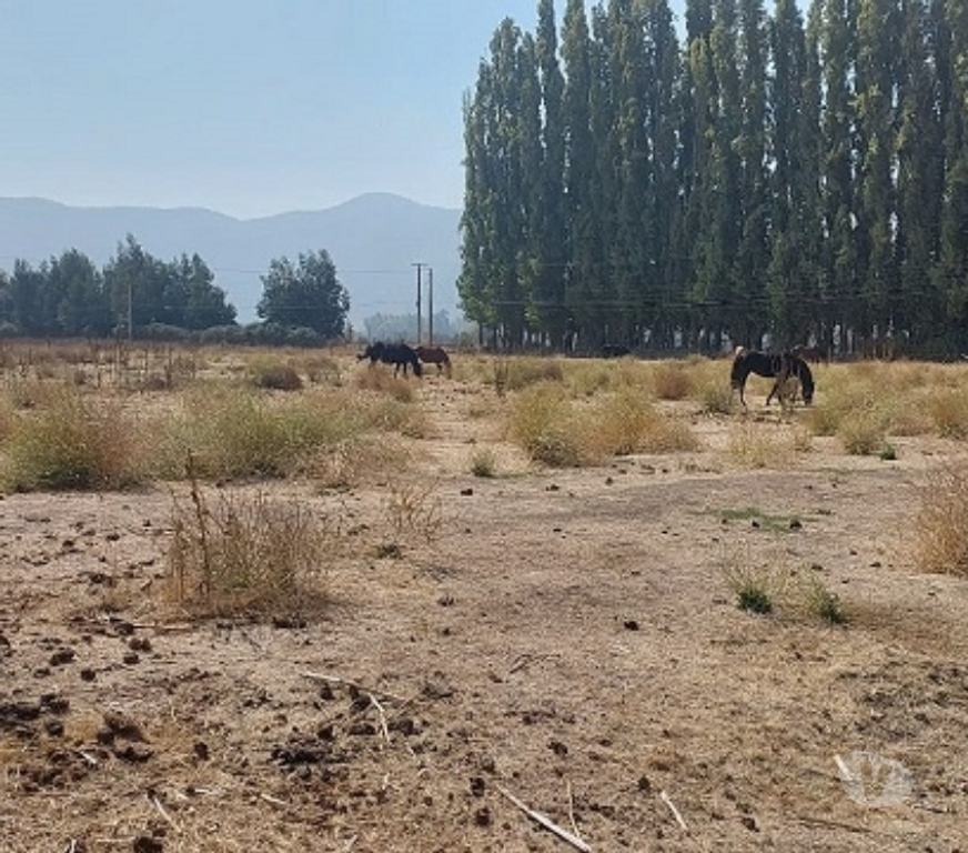 Parcelas en Venta Maipo Paine - Fotos de Aculeo-Paine, Lote 32