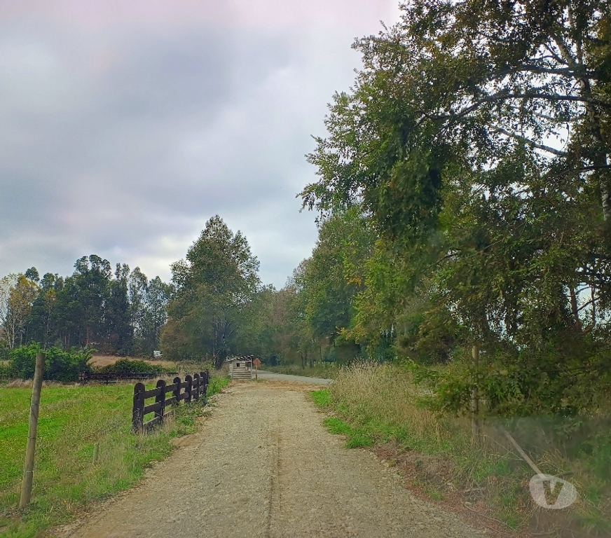 Parcelas en Venta Cautín Villarrica - Fotos de Hermosas parcelas con buena ubicación