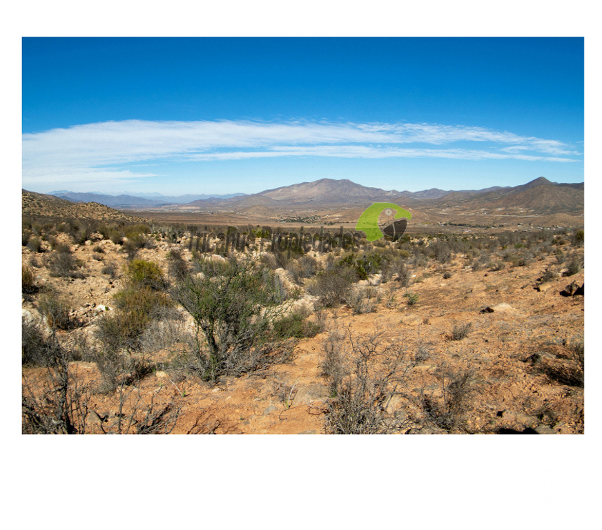 Parcelas en Venta Limarí Ovalle - Fotos de Venta gran terreno de 40 hectáreas a 20 minutos de Ovalle