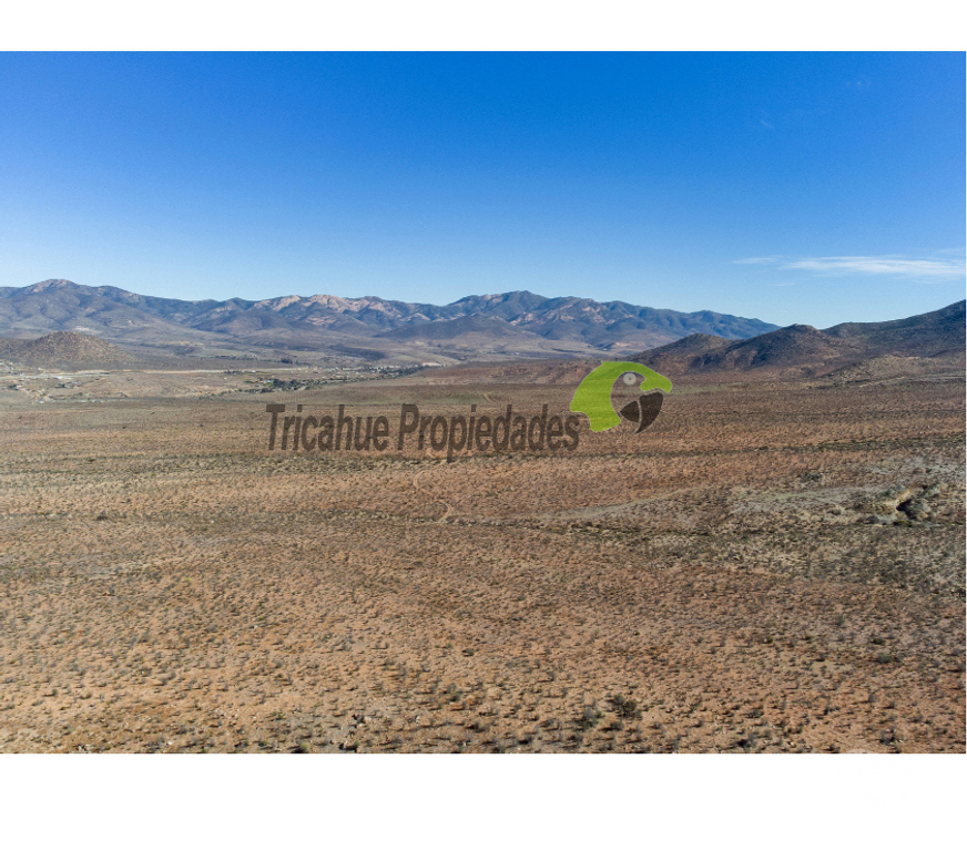 Parcelas en Venta Limarí Ovalle - Fotos de Venta gran terreno de 40 hectáreas a 20 minutos de Ovalle