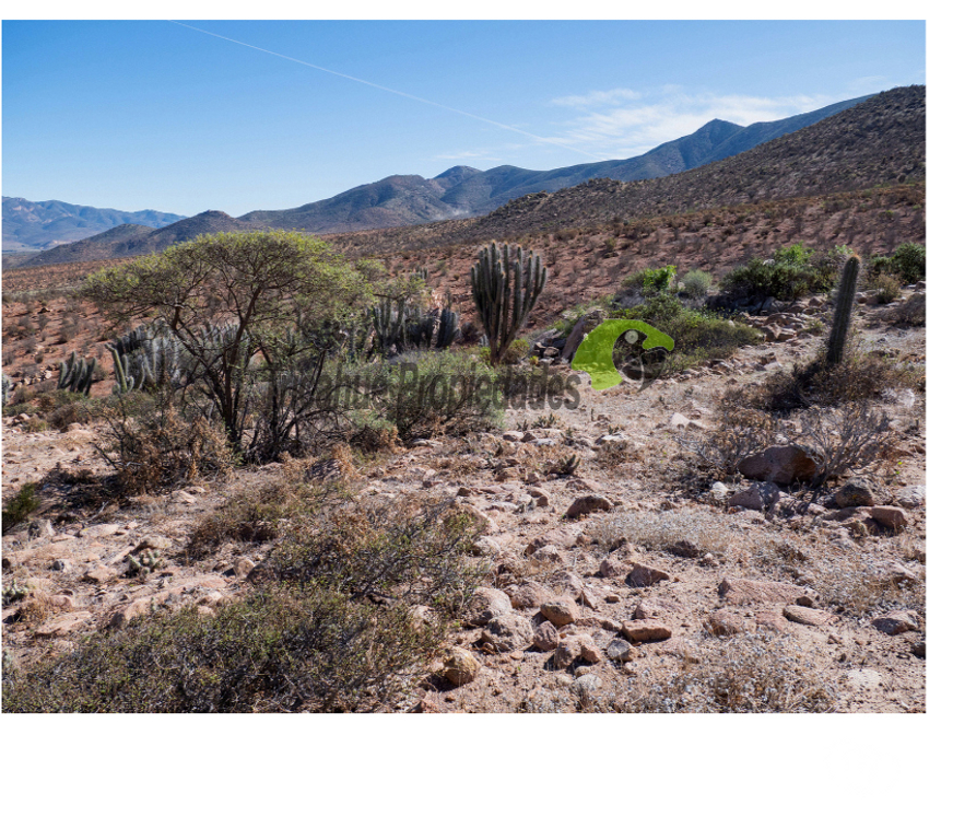 Parcelas en Venta Limarí Ovalle - Fotos de Venta gran terreno de 40 hectáreas a 20 minutos de Ovalle
