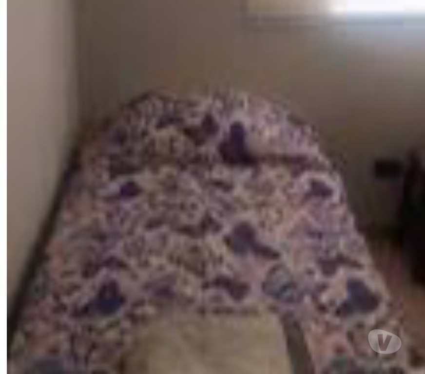 Arriendo de piezas Elqui La Serena - Fotos de SE ARRIENDA Pieza EN LA SERENA COMPAÑIA ALTA
