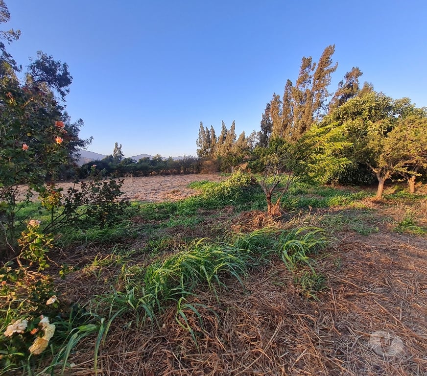 Bienes Raices Talagante El Monte - Fotos de PARCELA 5800 M2 EL PAICO