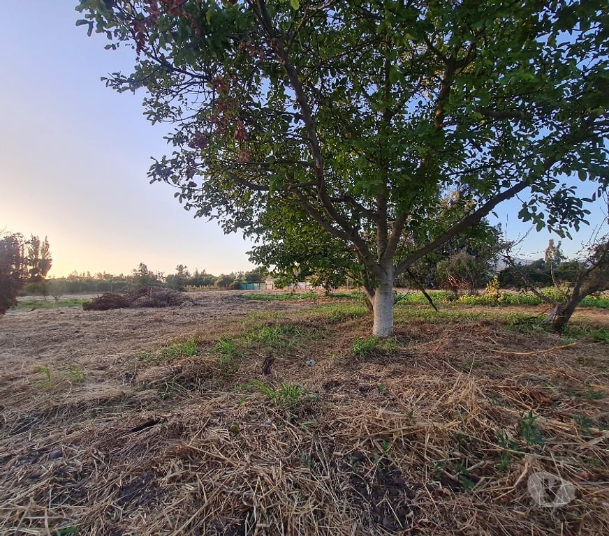 Bienes Raices Talagante El Monte - Fotos de PARCELA 5800 M2 EL PAICO