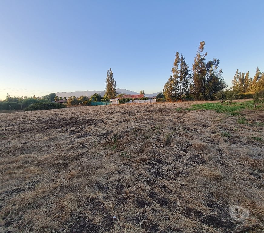 Bienes Raices Talagante El Monte - Fotos de PARCELA 5800 M2 EL PAICO