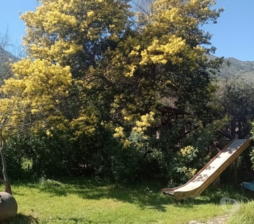 Arriendos Vacaciones Quillota Olmué - Fotos de Arriendo casa de campo con piscina en OLMUÉ
