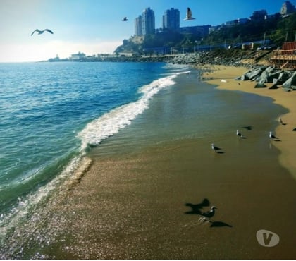 Arriendo de piezas Valparaíso Valparaíso - Fotos de Pensionado estudiantes mujeres Cerro Placeres