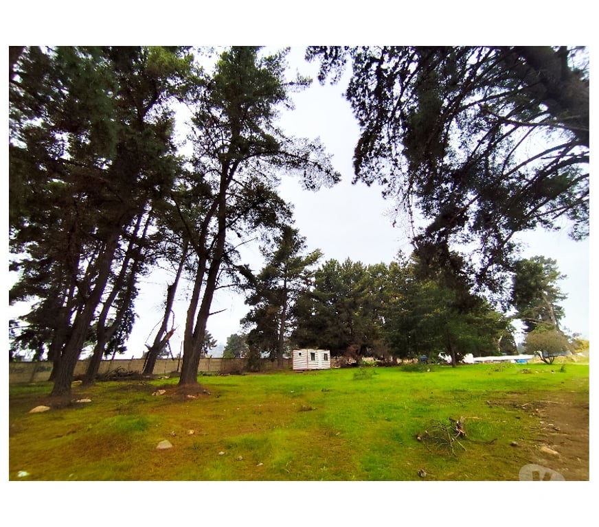 Parcelas en Venta Valparaíso Viña del Mar - Fotos de Terreno 10.000 m² en Reñaca Alto – Camino Lajarilla