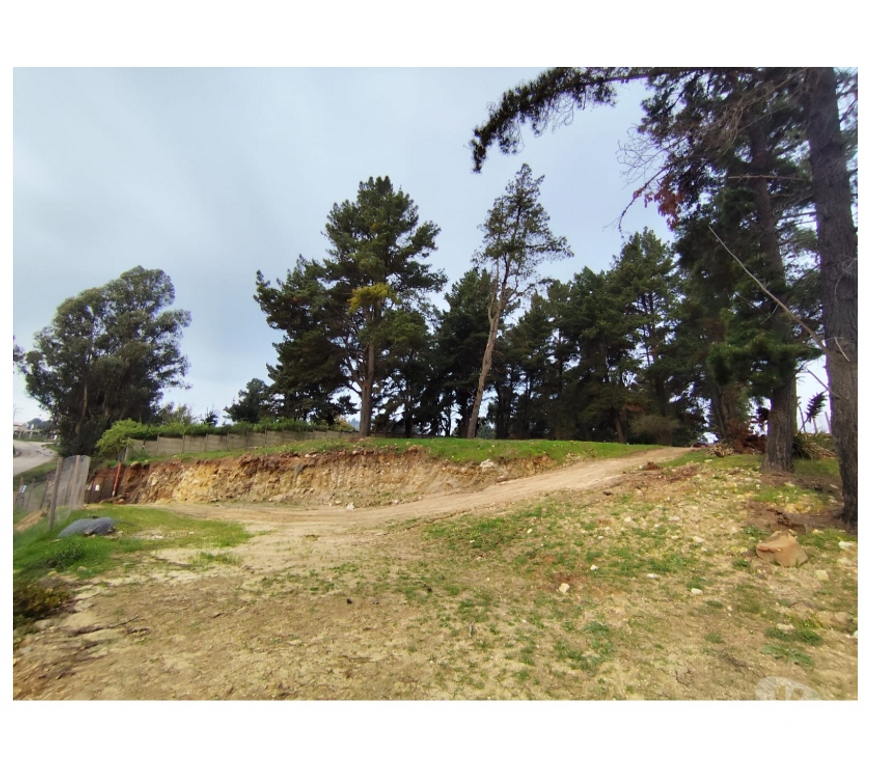 Parcelas en Venta Valparaíso Viña del Mar - Fotos de Terreno 10.000 m² en Reñaca Alto – Camino Lajarilla