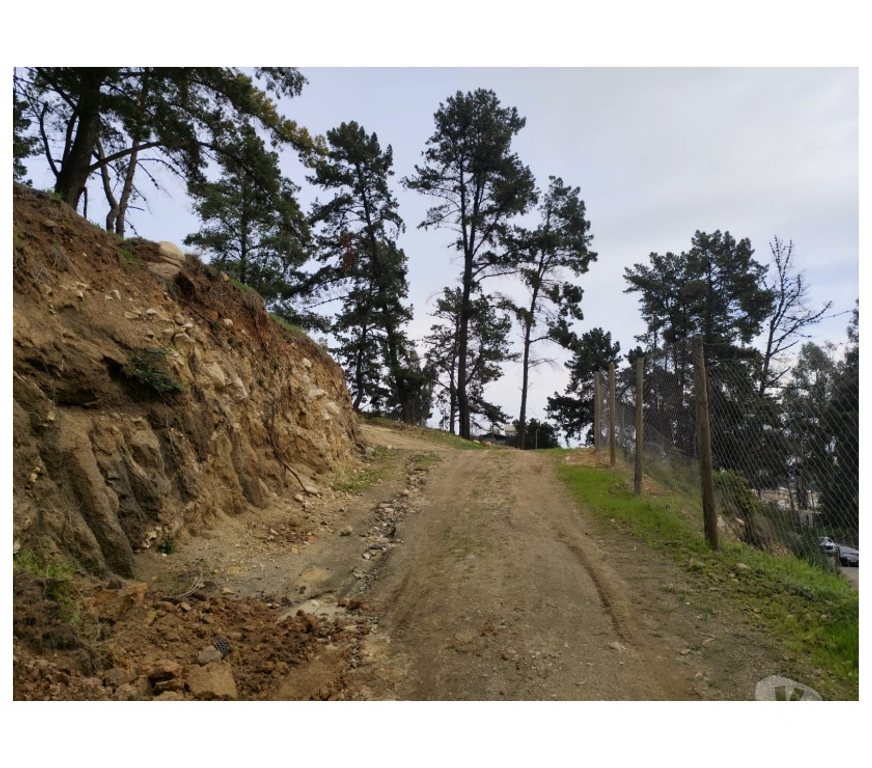 Parcelas en Venta Valparaíso Viña del Mar - Fotos de Terreno 10.000 m² en Reñaca Alto – Camino Lajarilla