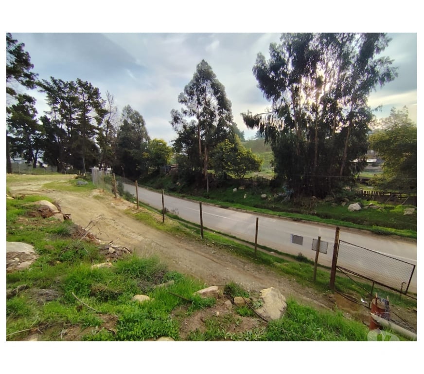Parcelas en Venta Valparaíso Viña del Mar - Fotos de Terreno 10.000 m² en Reñaca Alto – Camino Lajarilla