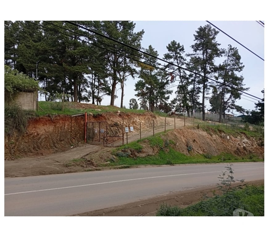 Parcelas en Venta Valparaíso Viña del Mar - Fotos de Terreno 10.000 m² en Reñaca Alto – Camino Lajarilla
