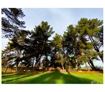 Terreno 10.000 m² en Reñaca Alto – Camino Lajarilla