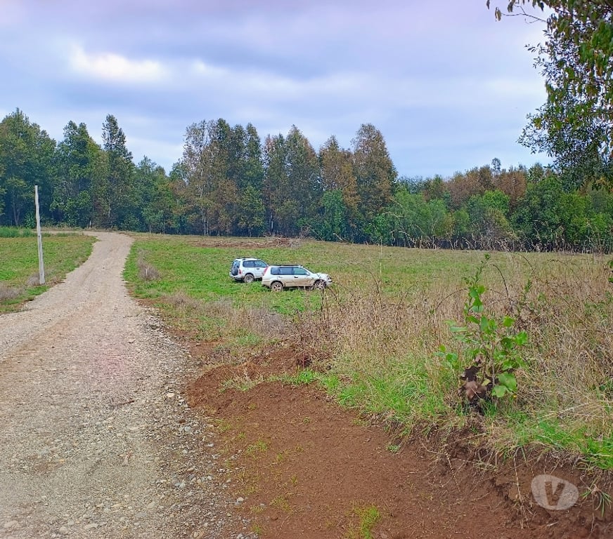 Parcelas en Venta Cautín Villarrica - Fotos de Parcela con lomaje suave, buena ubicación lugar tranquilo