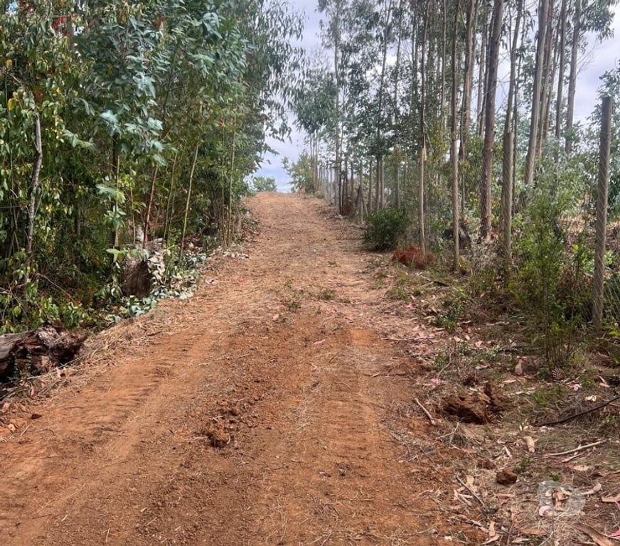 Parcelas en Venta Cardenal Caro Pichilemu - Fotos de Terreno El Congui , Pichilemu