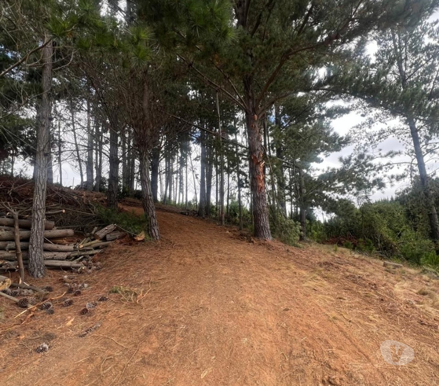 Parcelas en Venta Cardenal Caro Pichilemu - Fotos de Terreno El Congui , Pichilemu