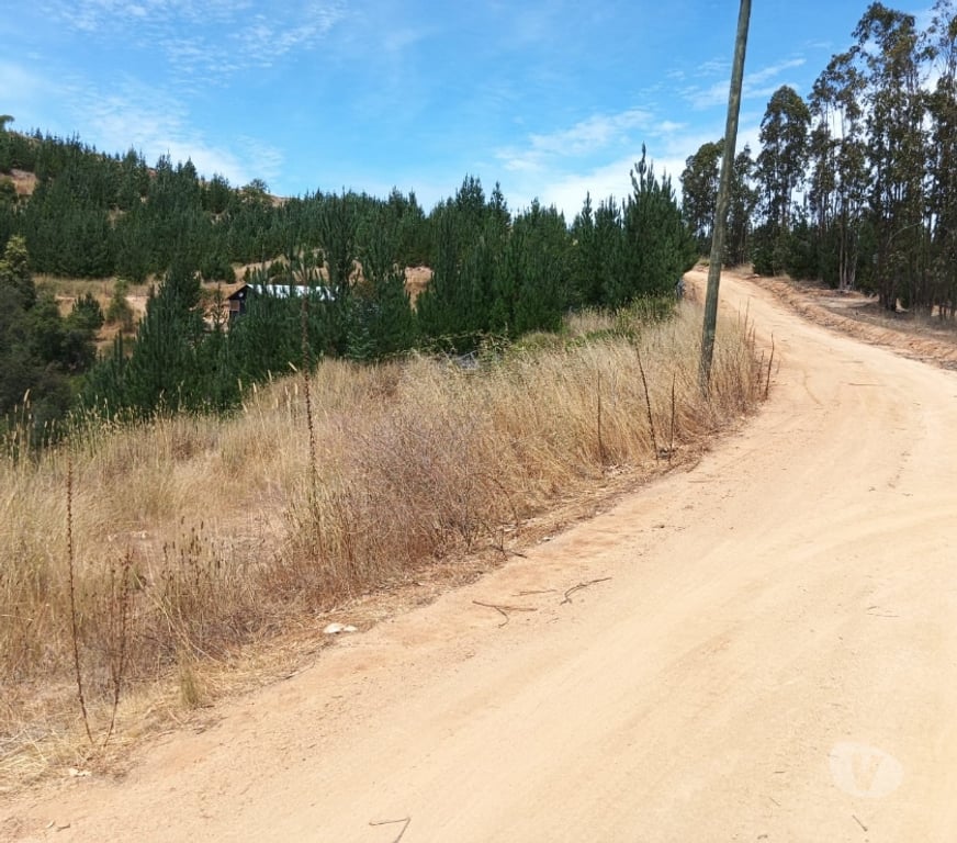 Parcelas en Venta Cardenal Caro Paredones - Fotos de Terreno Paredones