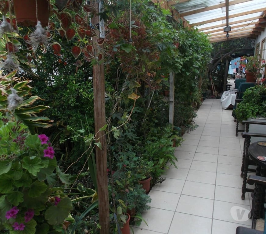 Arriendo de piezas Copiapó Copiapó - Fotos de Arriendo Habitaciones Copiapó Centro