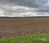 Fundo agricola cerca de futrono