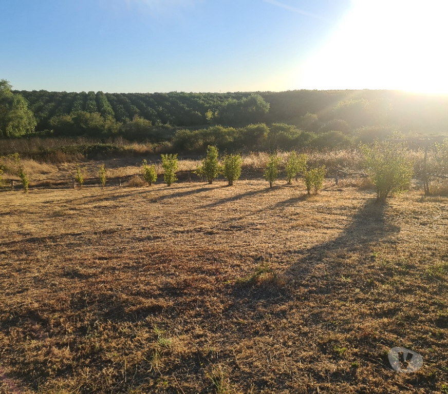 Parcelas en Venta Linares Retiro - Fotos de Casa en parcela