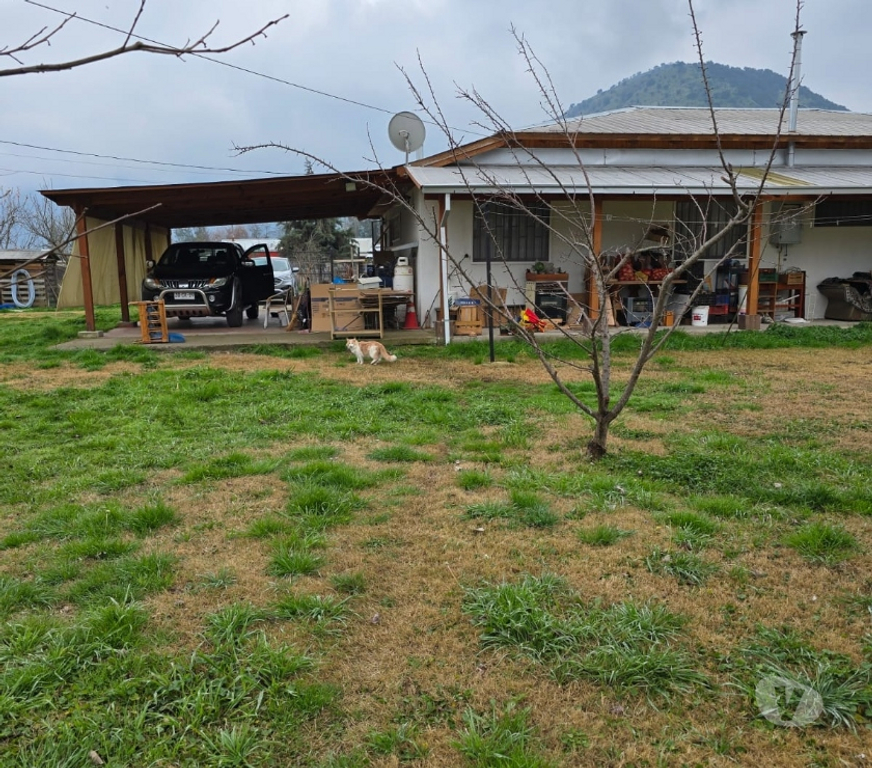 Bienes Raices Cachapoal Doñihue - Fotos de Parcela en Doñihue